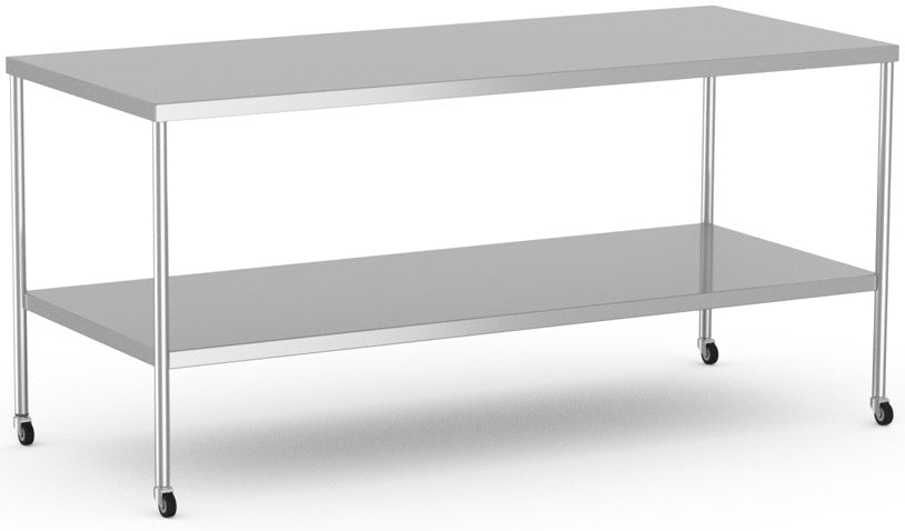 Instrument Table with undershelf and 3" Casters